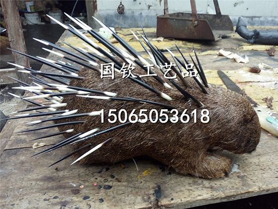 IMG_20170416_091202 副本.jpg