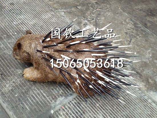 IMG_20170416_091309 副本.jpg