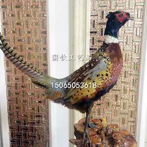 仿真野鸡、环颈雉