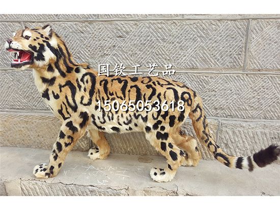 IMG_20171109_095638 副本.jpg