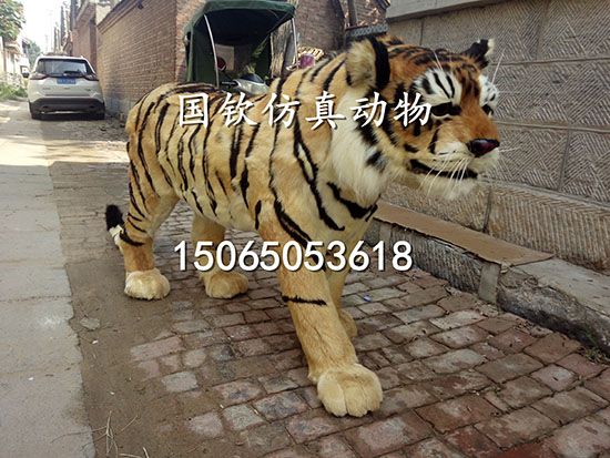 IMG_20170818_094157 副本.jpg