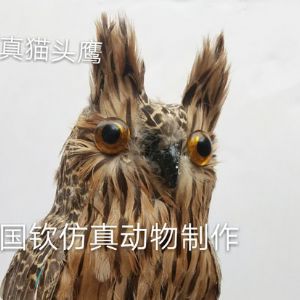 仿真猫头鹰