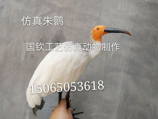 微信图片_20180806184137.jpg