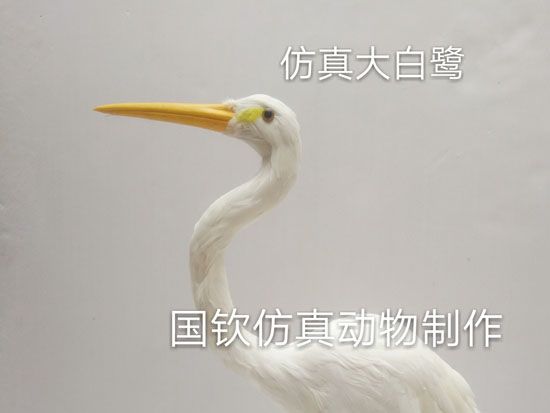 仿真大白鹭